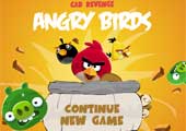 image Angry Birds Car Revenge