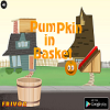 image Pumpkin in Basket