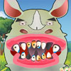 image Rhino Tooth Problems