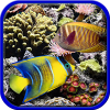 image Coral reefs. Hidden objects