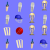 image Cricket Match