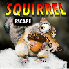 image Ena Squirrel Escape