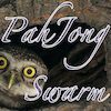 image PahJong Swarm
