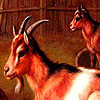 image Red goats in the woods puzzle